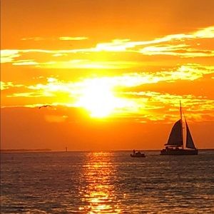 Meet your Posher, Terry